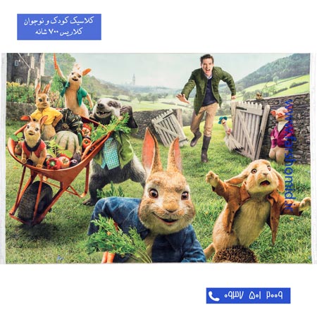 700 شانه طرح پیتر خرگوشه 100220 کودک و نوجوان کلاریس محتشم