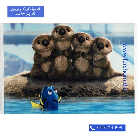 700 شانه طرح در جستجوی دوری 100229 کودک و نوجوان کلاریس محتشم