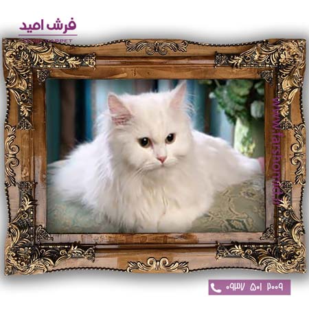 تابلو فرش ماشینی طرح حیوانات گربه سفید کد 602۷ فرشان