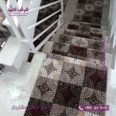 جناب آقای فرخی از تبریز - فانتزی فریز ساوین