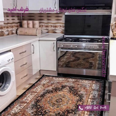 جناب آقای قادر پیری از تبریز - 1000 شانه آرشام